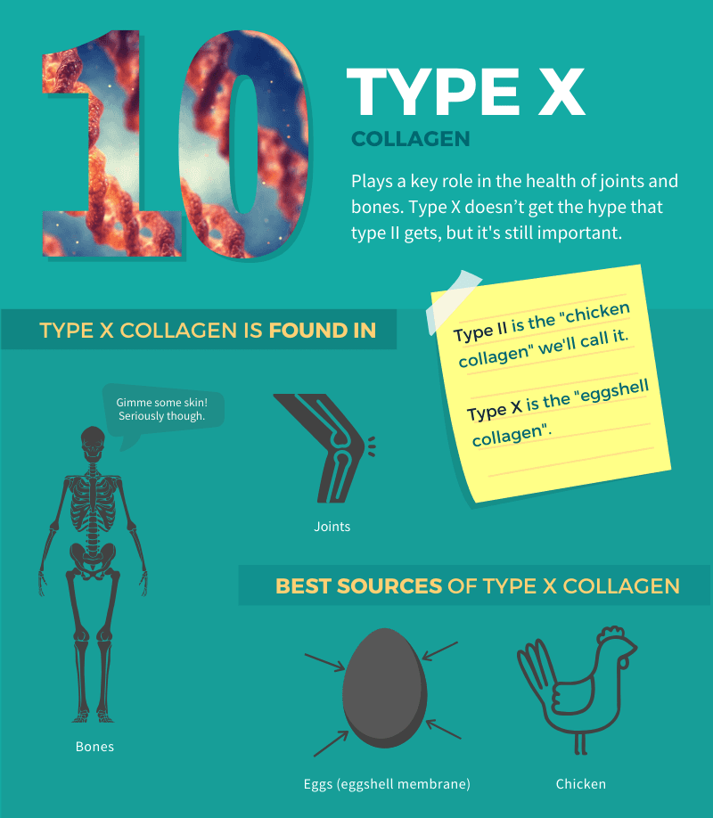 Understanding the 5 types of Collagen Dr. Ken Best Chiropractor